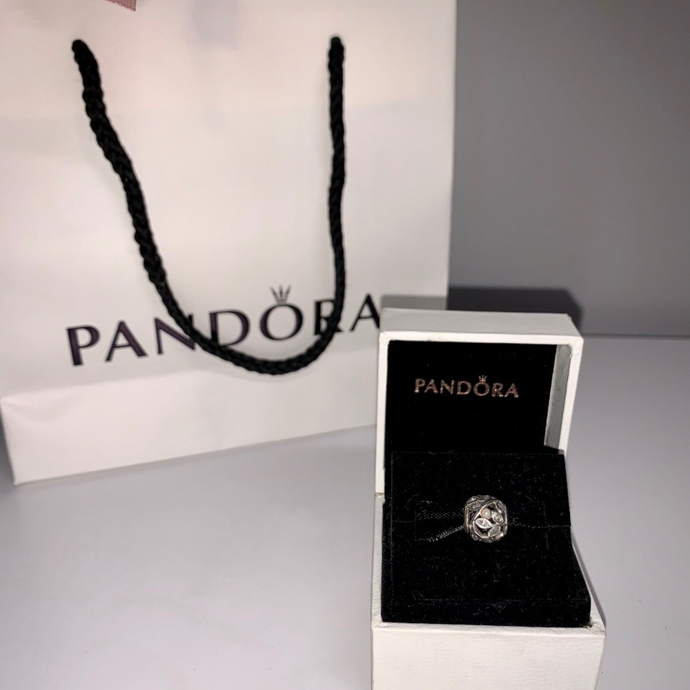 Pandora Charm